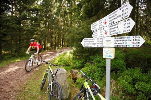A hiking and biking trail in the Black Forest