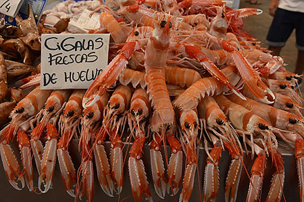 Cigalas (langoustines) at a market