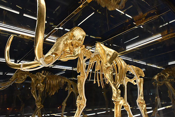 Mammoth sculpture by Damien Hirst