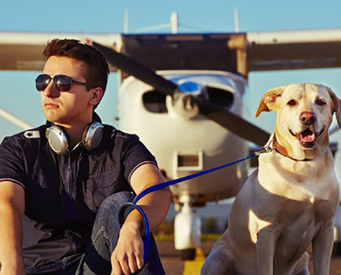 Flying with Pets