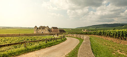 France's Wine Country