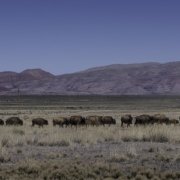 Photography Workshops in New Mexico