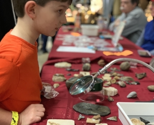 Little boy looking at fossils through a magnifying glass at a rock and gem show