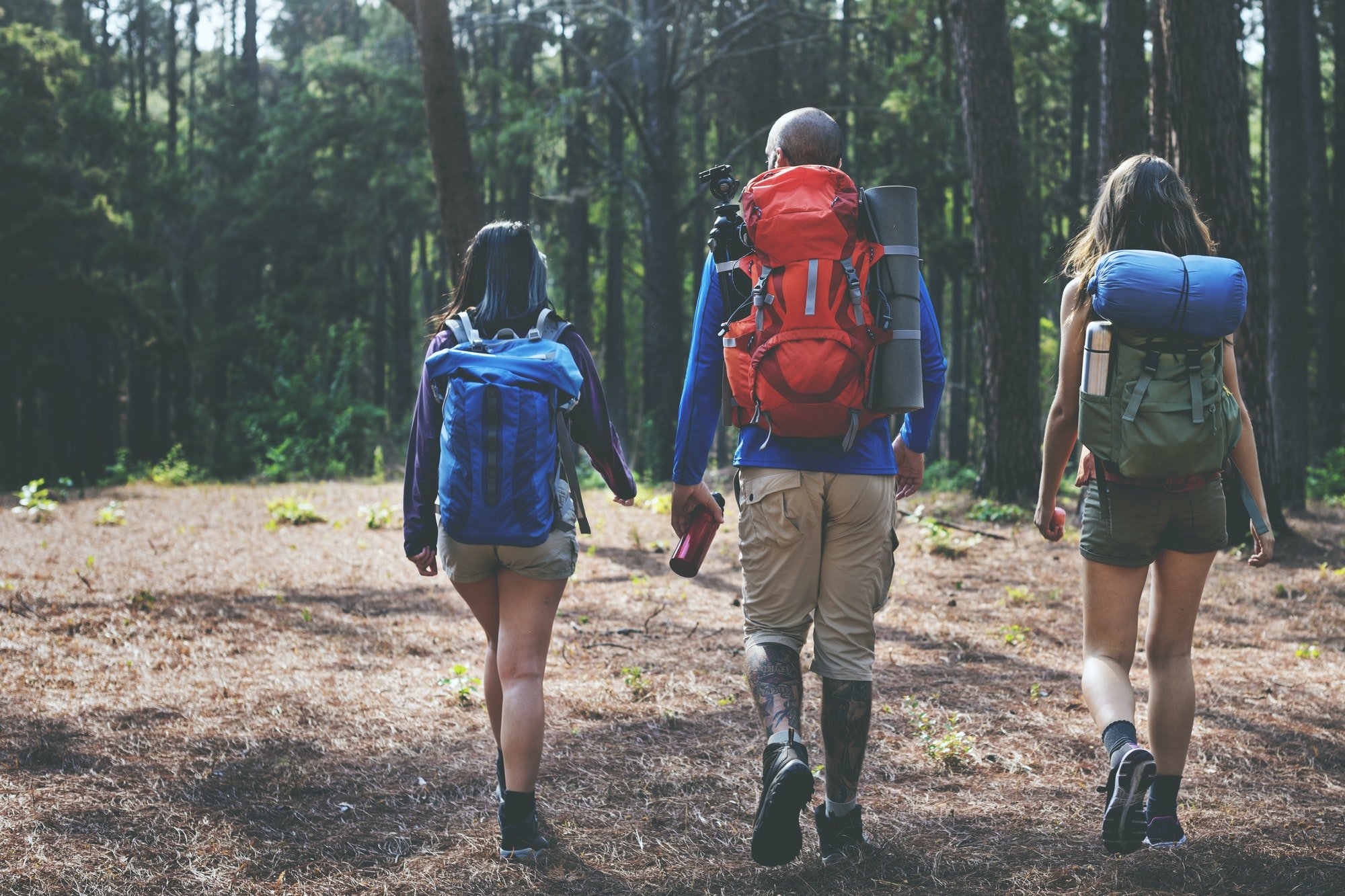 Hiking Hiker Destination Camping Backpacker Concept
