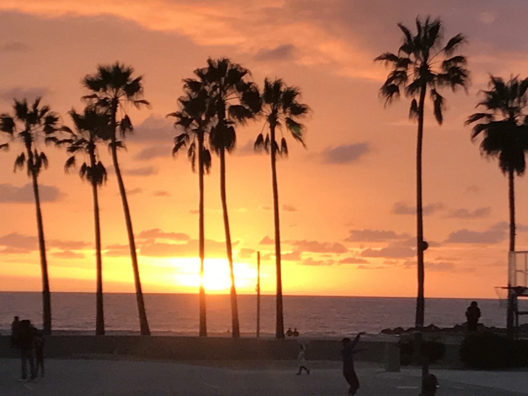 Venice Beach Sunset