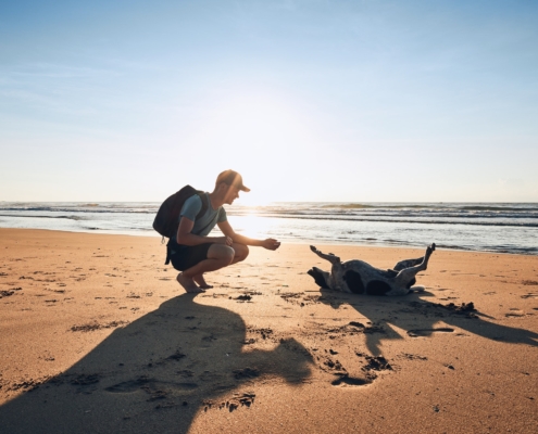 Young man with dog on beach