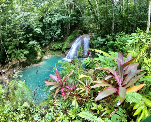 Jamaica paradise