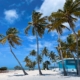Empty Smathers Beach, Key West, Florida, blue building tall palm coconut trees, tropical paradise