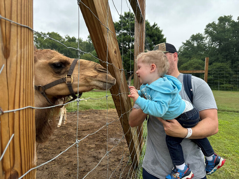 A child meets face to face with a camel at the Barn Hill Preserve in Frankford, Delaware. 